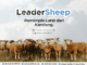 LeaderSheep ,Pemimpin lahir dari kandang
